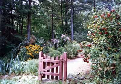 backyard garden